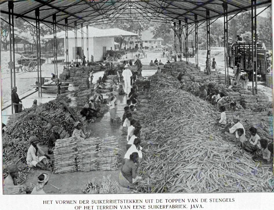 Suikerfabriek Java 1938