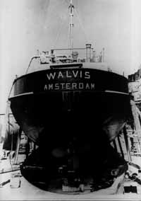 Ijsbreker Walvis (1949)