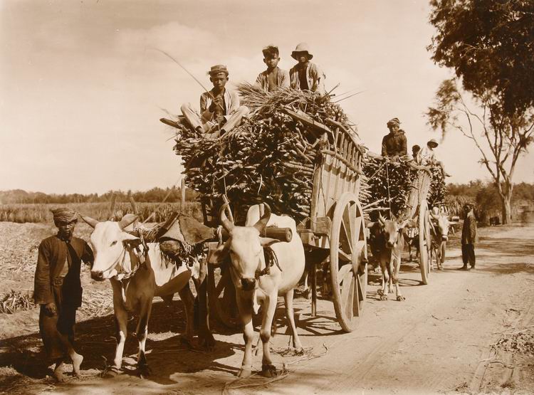 transport_suikerriet_kediri_1926