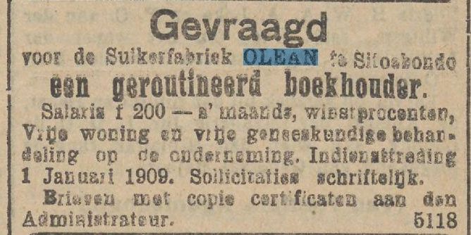 Advertentie boekhouder voor suikerfabriek Olean 1908
